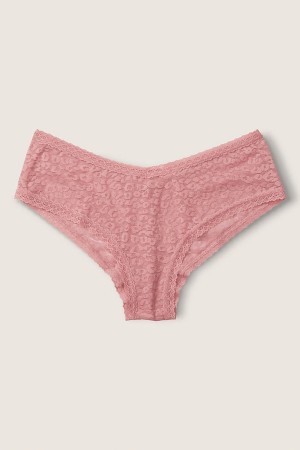 Coconut White Victoria's Secret Lace Logo Cheeky Knickers | 2410JEDVC